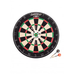 GRETSCH DARTBOARD