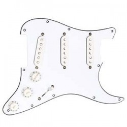PICKGUARD ASSAMBLY VINTAGE STRAT