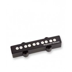 QUARTER POUND JAZZ BASS 5 NECK