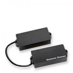 SET PRO ACTIVE PRECISSION BASS