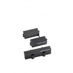 SET PRO ACTIVE PJ BASS