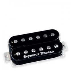 WHOLE LOTTA BLACK BRIDGE