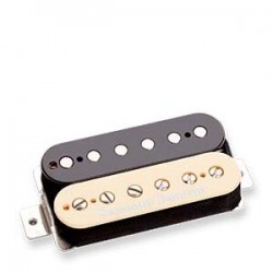 WHOLE LOTTA ZEBRA BRIDGE