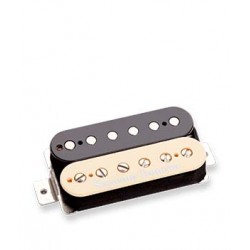 WHOLE LOTTA ZEBRA BRIDGE